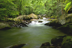 Little River Elkmont